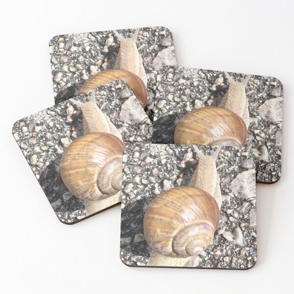Item preview, Snail designed and sold by DjeriK.