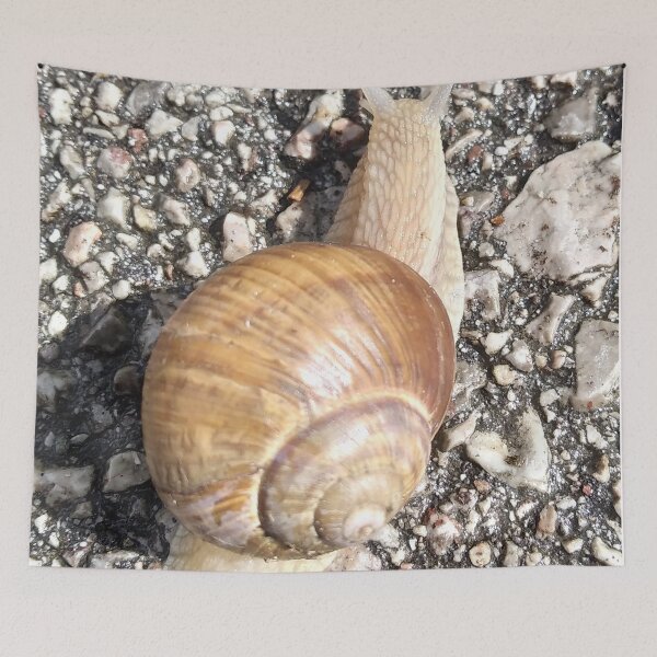Item preview, Snail designed and sold by DjeriK.