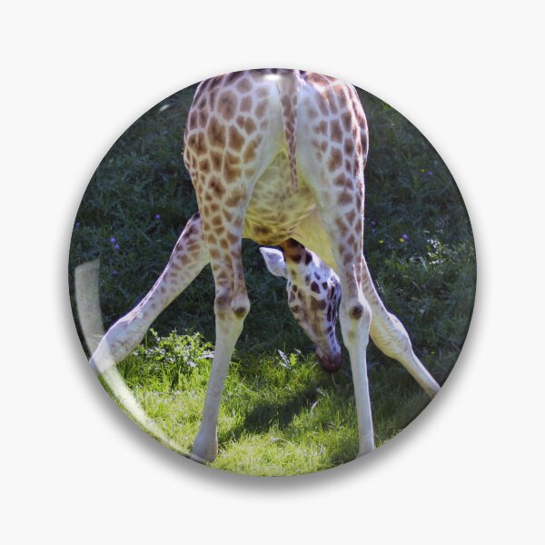 Item preview, Bottoms Up designed and sold by TinyTigerPhoto.