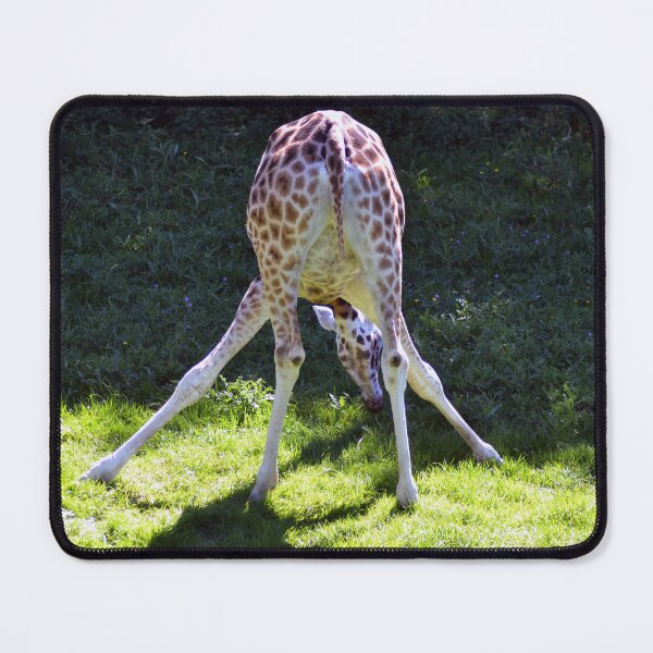 Item preview, Bottoms Up designed and sold by TinyTigerPhoto.