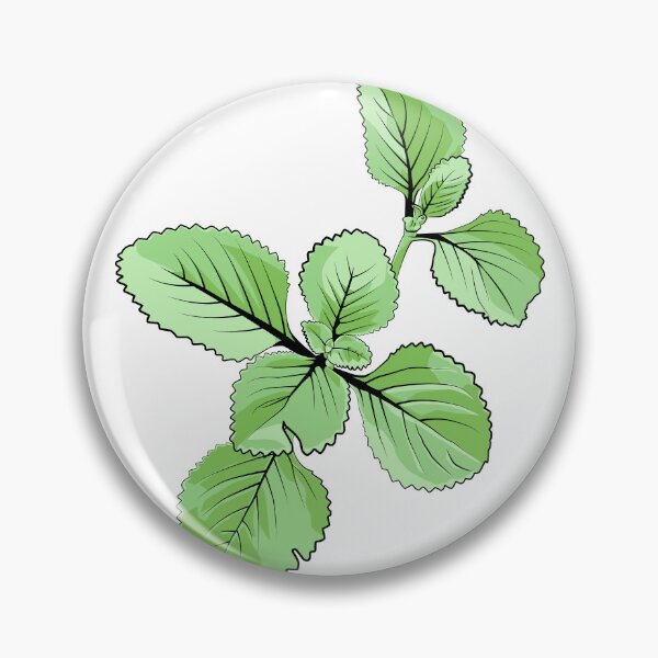Item preview, Botanical Vector Illustration of Fresh Green Oregano Plant designed and sold by jayson salvador.