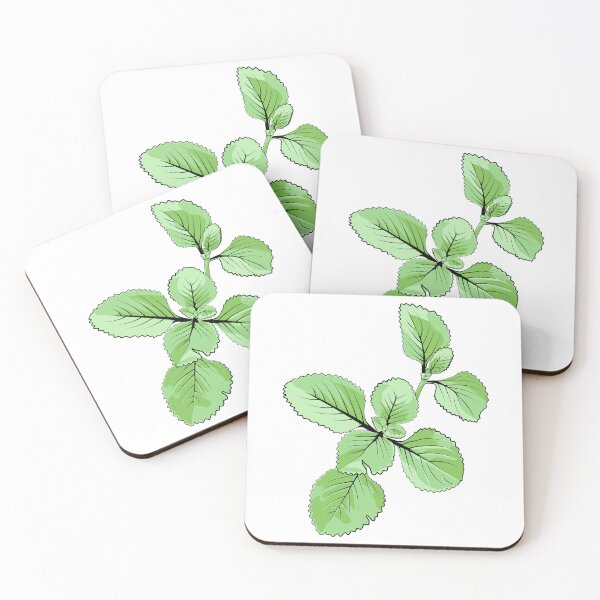Item preview, Botanical Vector Illustration of Fresh Green Oregano Plant designed and sold by jayson salvador.