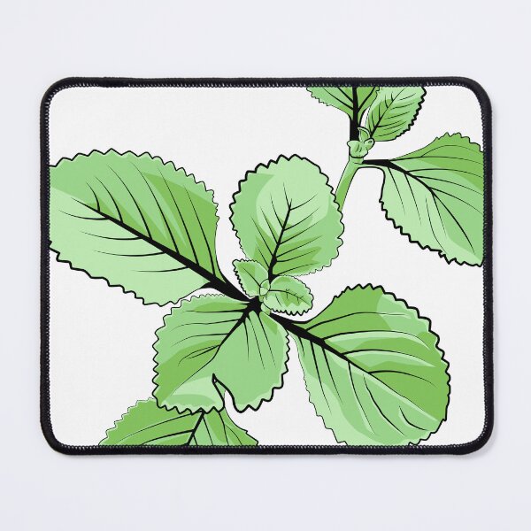 Item preview, Botanical Vector Illustration of Fresh Green Oregano Plant designed and sold by jayson salvador.