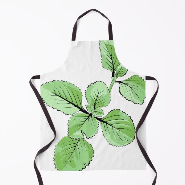 Item preview, Botanical Vector Illustration of Fresh Green Oregano Plant designed and sold by jayson salvador.
