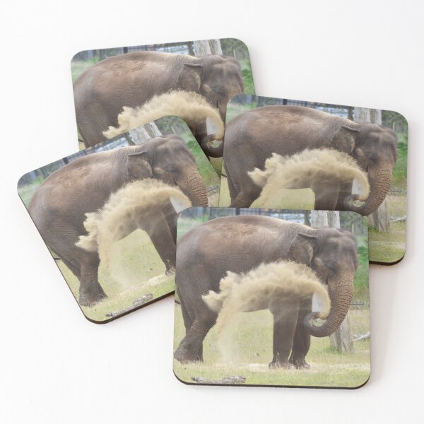 Item preview, Elephant Cool Down designed and sold by TinyTigerPhoto.