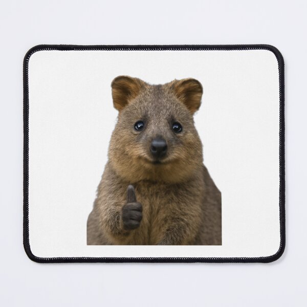 Item preview, Everything is good quokka funny weird prank meme cute happy christmas birthday gift designed and sold by CheeseBlueprint.