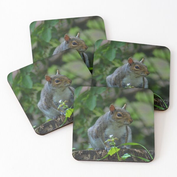 Item preview, Grey Squirrel designed and sold by NatnoDesigns.