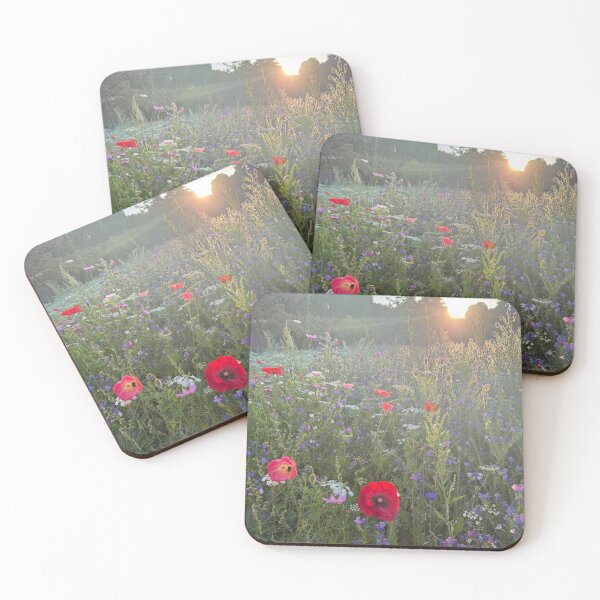 Item preview, Day Breaking with the Wildflowers, St James’s Park, London designed and sold by The Running London Photographer.