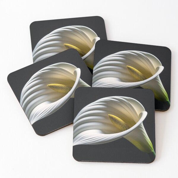Item preview, Elegant Calla Lily on Black Background designed and sold by sneidere9dace.
