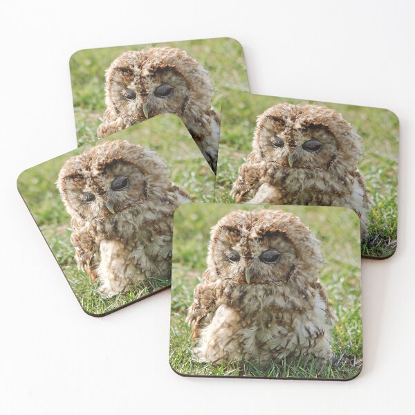 Item preview, Tawny Owl designed and sold by RJKYTE1970.
