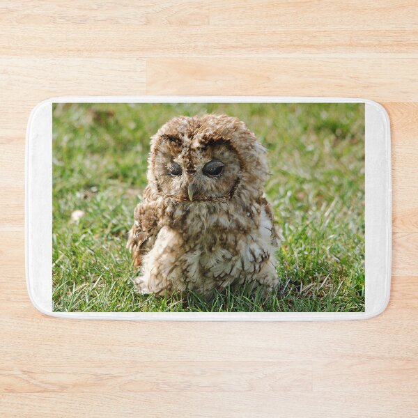 Item preview, Tawny Owl designed and sold by RJKYTE1970.