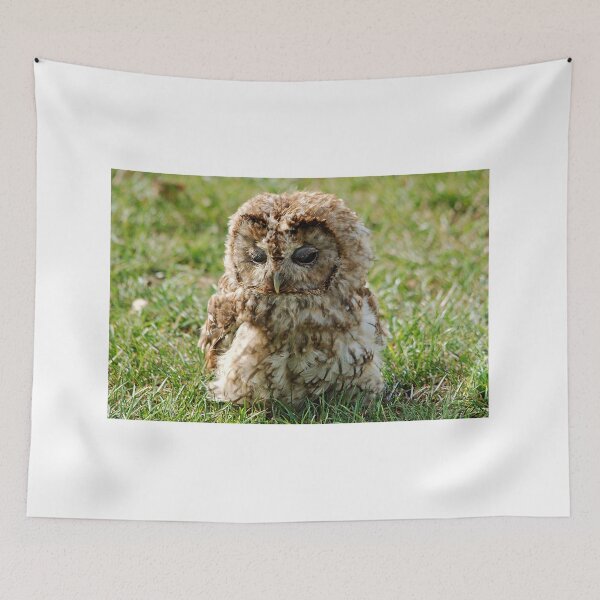 Item preview, Tawny Owl designed and sold by RJKYTE1970.