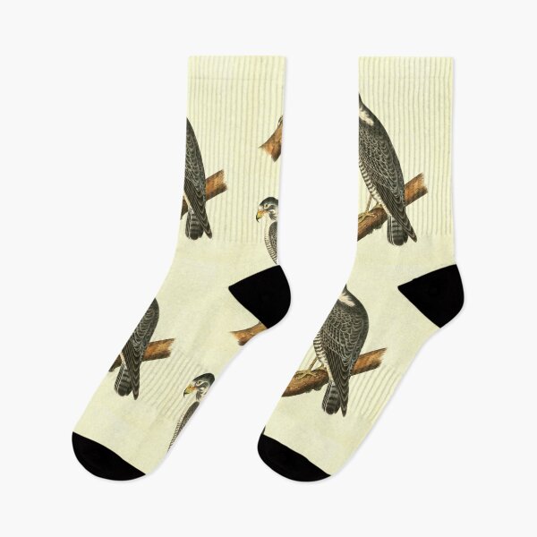 Item preview, Peregrine Falcon (Falco peregrinus) designed and sold by tarotstarostina.