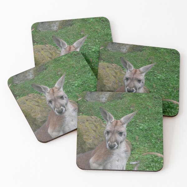 Item preview, Kangaroo 001 designed and sold by pasta26mc.