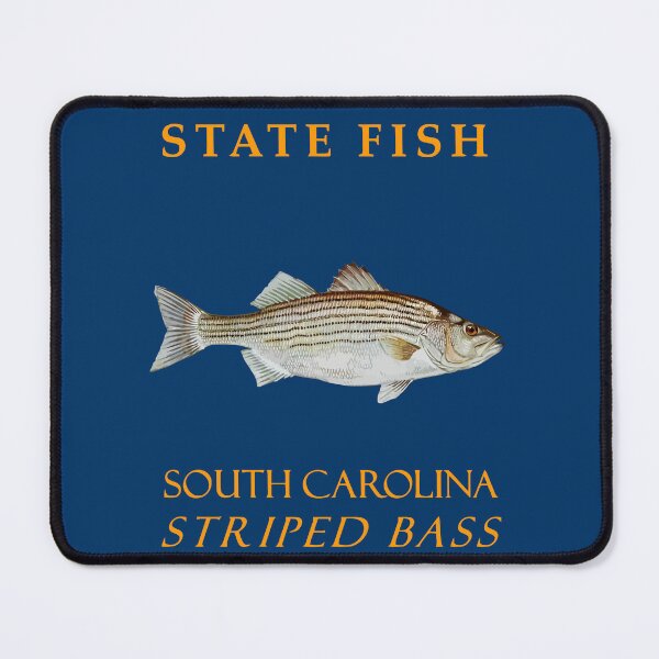 Item preview, South Carolina Territory Fish The Rockfish designed and sold by taiche.