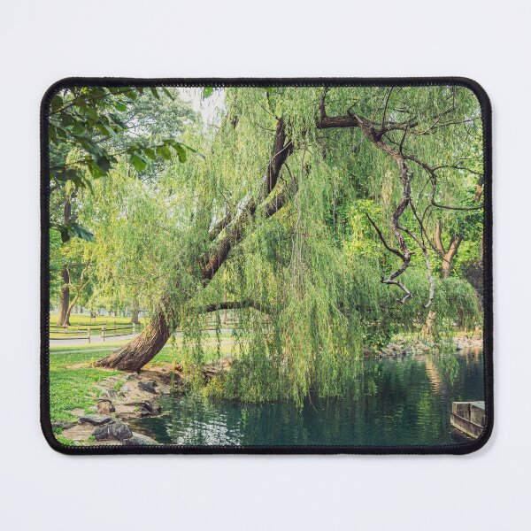 Item preview, A Tranquil Tree designed and sold by JaredSpackman.