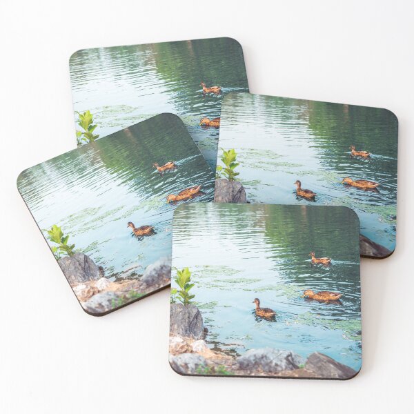 Aperçu de l'œuvre Les canards font ce que font les canards créée et vendue par JaredSpackman.