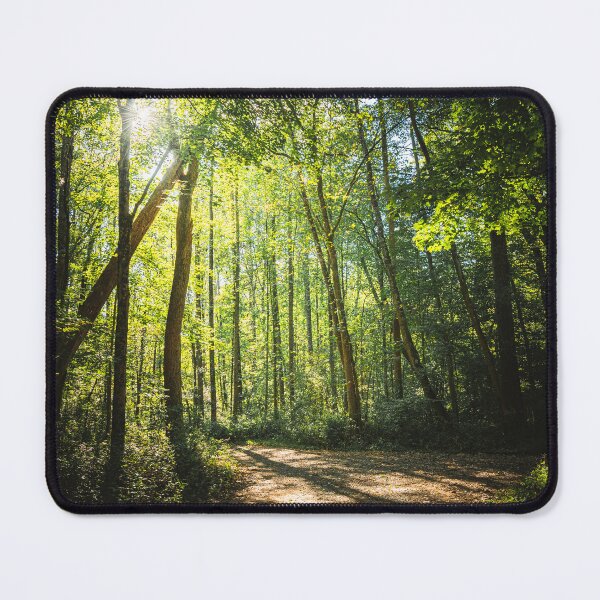 Item preview, Light in a Lonely Place designed and sold by JaredSpackman.