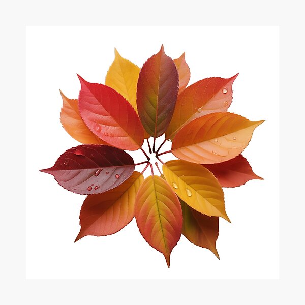 Aperçu de l'œuvre Cercle d'automne créée et vendue par HowMonkeyShop.