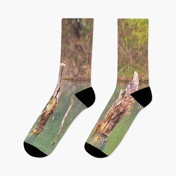 Item preview, Nature designed and sold by DjeriK.