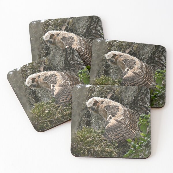 Item preview, Great Horned Owlet showing off  designed and sold by Glennphotos.