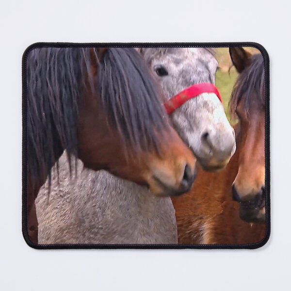 Item preview, Horses designed and sold by DjeriK.