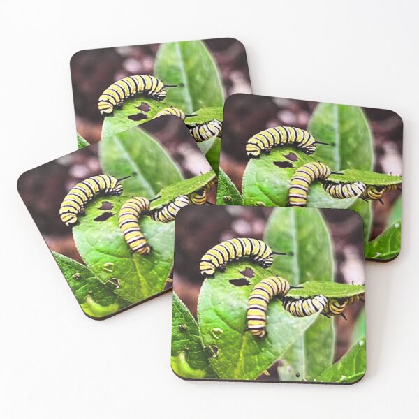Item preview, Caterpillar Save the Monarchs Photo designed and sold by Sharon Schwalbe.