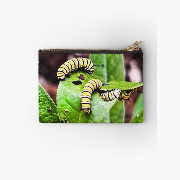Item preview, Caterpillar Save the Monarchs Photo designed and sold by Sharon Schwalbe.