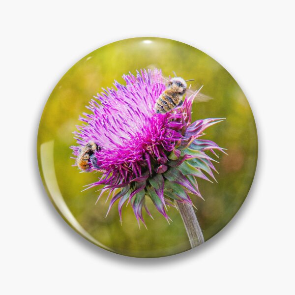 Item preview, Bees & Beauty designed and sold by JaredSpackman.