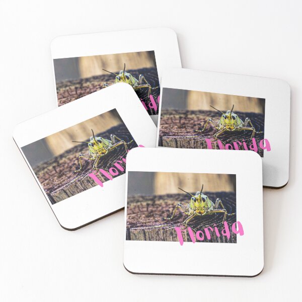 Item preview, Grasshopper Florida designed and sold by kimagemiami.
