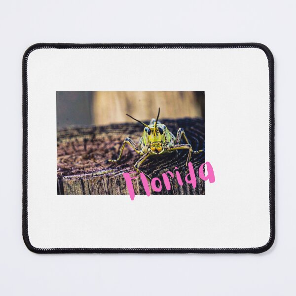 Item preview, Grasshopper Florida designed and sold by kimagemiami.