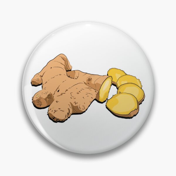 Item preview, Botanical Vector Illustration of Fresh Ginger Root Plant designed and sold by jayson salvador.