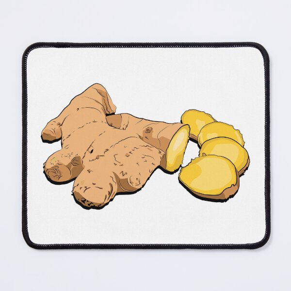 Item preview, Botanical Vector Illustration of Fresh Ginger Root Plant designed and sold by jayson salvador.