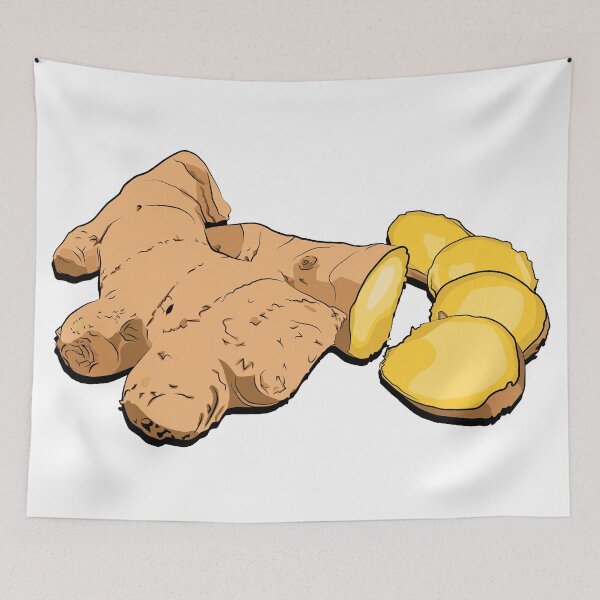 Item preview, Botanical Vector Illustration of Fresh Ginger Root Plant designed and sold by jayson salvador.