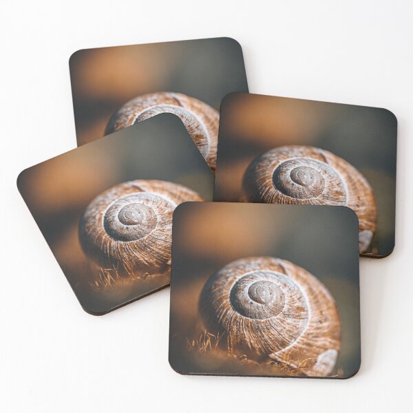 Item preview, Golden Light on Snail Shell designed and sold by Kiralydominiik.