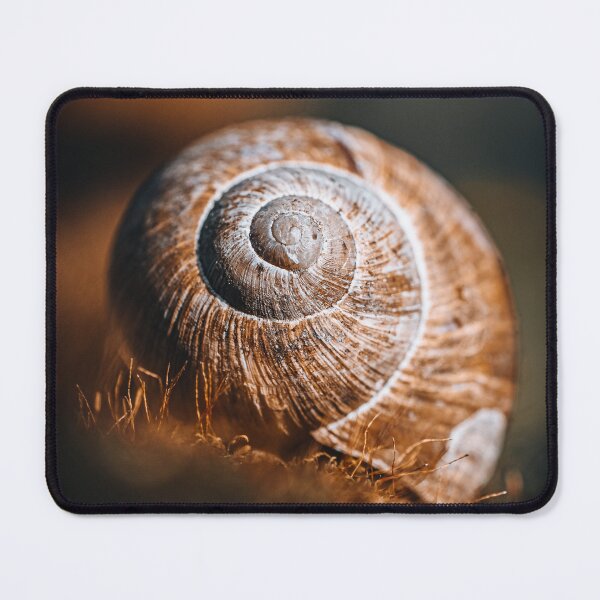 Item preview, Golden Light on Snail Shell designed and sold by Kiralydominiik.