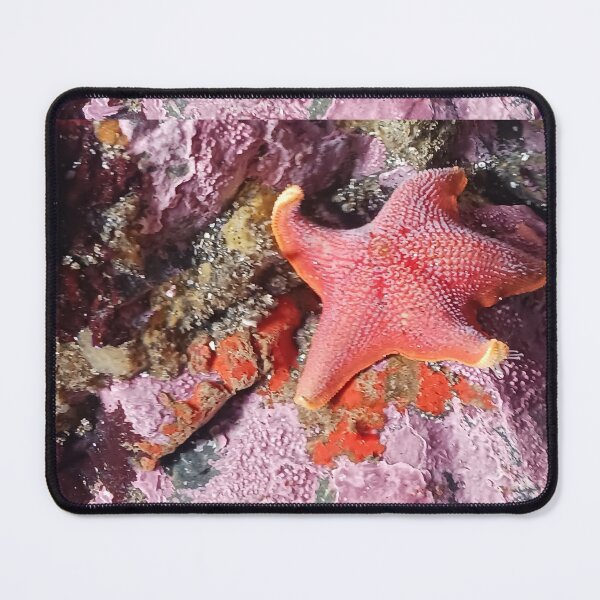 Item preview, ✨ "Starfish Wave – Mendocino Tide Pool Photography" ✨ designed and sold by PEACELOVERSART.