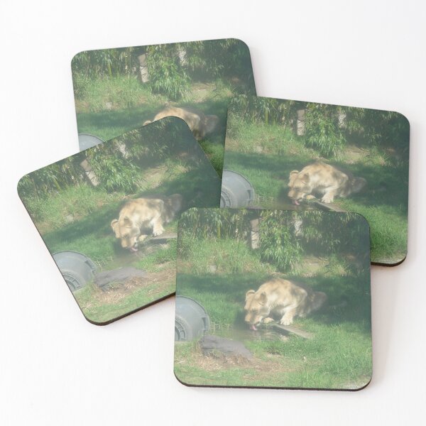 Item preview, Lions 007 designed and sold by pasta26mc.