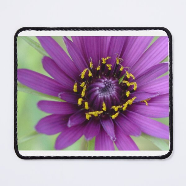 Item preview, Purple Flower designed and sold by Jeffsredbubble.