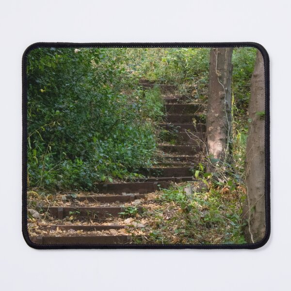 Item preview, Steps In The Forest designed and sold by Christine Lake.