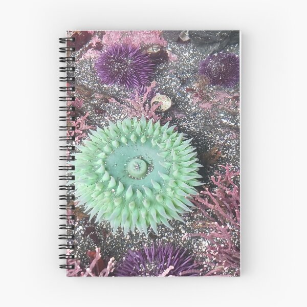 Item preview, Emerald Sea Anemone – Mendocino Coast Tide Pool designed and sold by PEACELOVERSART.