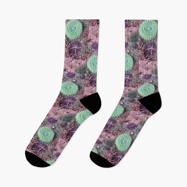 Item preview, Emerald Sea Anemone – Mendocino Coast Tide Pool designed and sold by PEACELOVERSART.