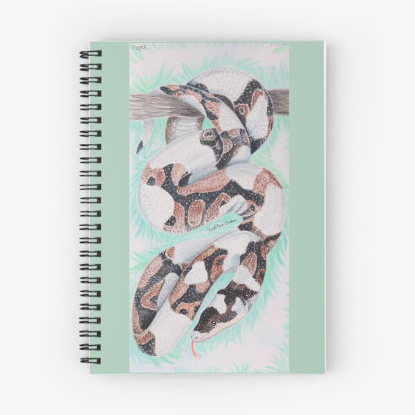 Item preview, Pied ball python painting designed and sold by WolfRaven Creations.