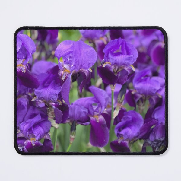 Item preview, Purples designed and sold by Craftingurl.