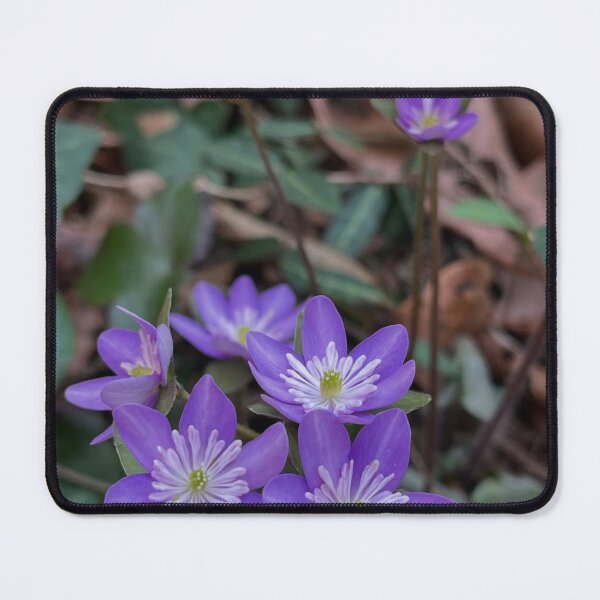 Item preview, Lavender Call Breeze Of Duty Essence  designed and sold by Ji-	 tae.