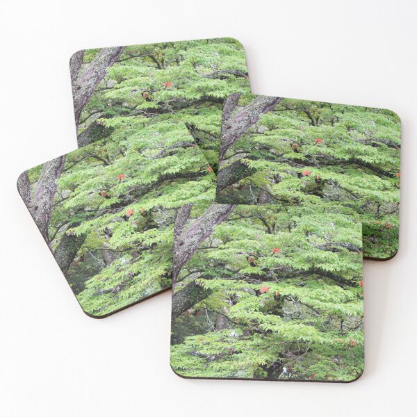 Item preview, Lush Greenery with Hints of Autumn designed and sold by Cynthia48.