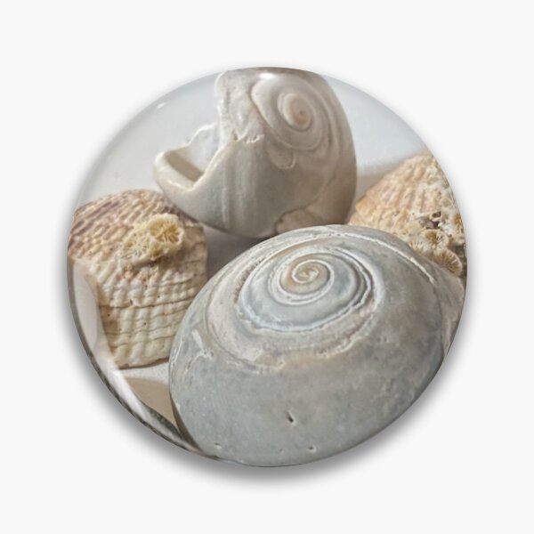 Item preview, The magic of shells designed and sold by CornyMoonlight.