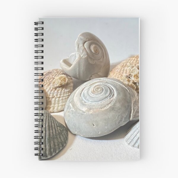 Item preview, The magic of shells designed and sold by CornyMoonlight.