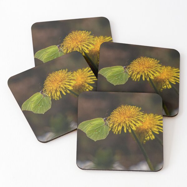 Item preview, Field Trader of Joe's Marigolds Joes  designed and sold by Seung- woo.