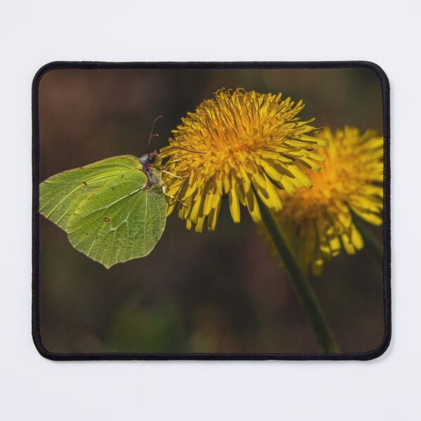 Item preview, Field Trader of Joe's Marigolds Joes designed and sold by Seung- woo.